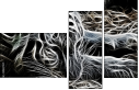 39837921