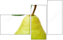 42343029