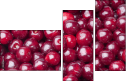 43026743