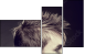 43317658