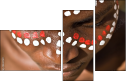 4332729
