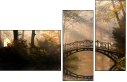 44630410