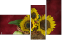 45812888