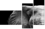 46583459
