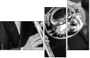 51526351