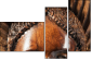 52004103