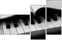 52337915