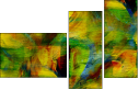58509769