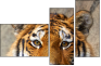 59798134