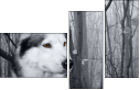 60177878