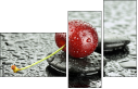 67079233