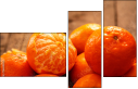 76269505