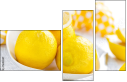 76413247