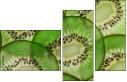 78577804