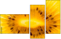 78671231