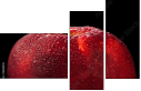 78900295