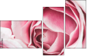 95247840