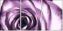 11865044