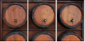 1348884