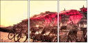 16482006