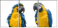 18738718