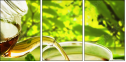 21155419