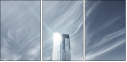 23194716