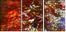 24600488