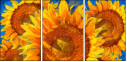 256376669