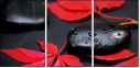 26741750