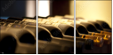 28820813