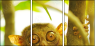 28835304