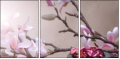 29087666