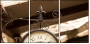 33620946