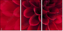 33891278