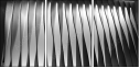 35619001
