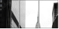 3629427