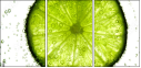 36604434