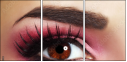 45479444