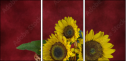 45812888