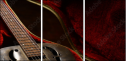 48965476