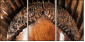 52004103
