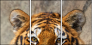 59798134