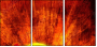 6550561