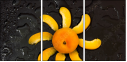 76101824