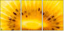 78671231