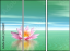 29216817