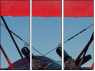 35709647