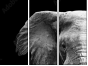 46583459