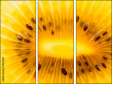 78671231